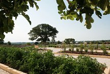 Nina Trulli Resort_veggie garden